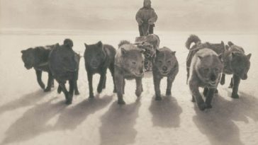 Antarctic expeditions 20th century