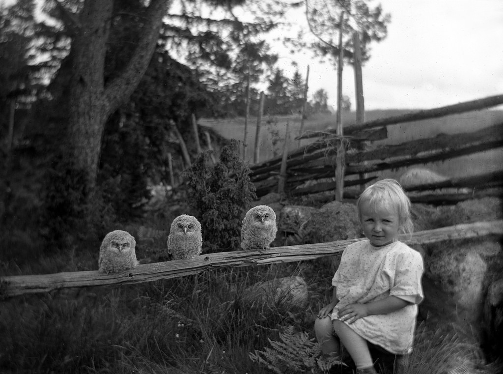 Little girl and three owls, 1925.