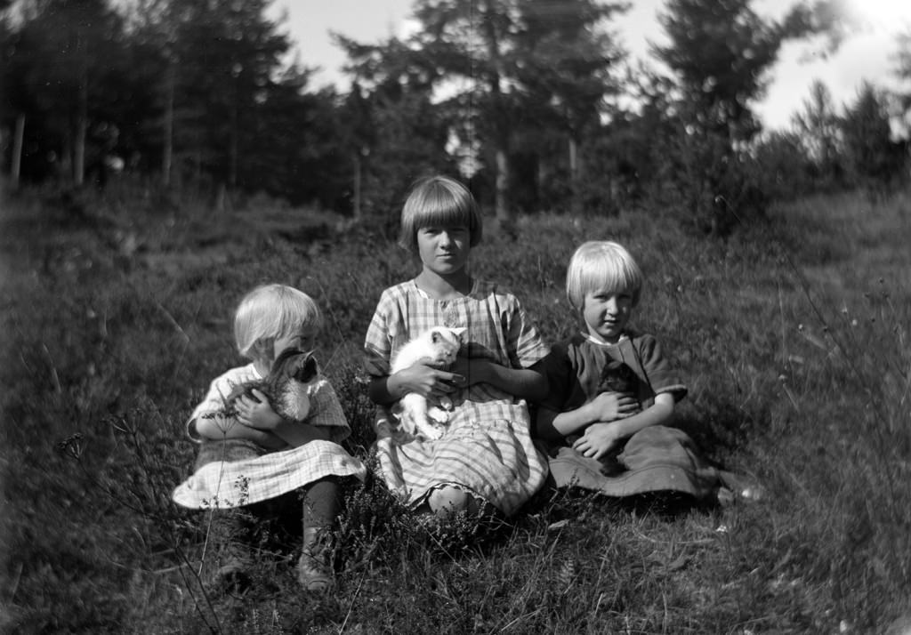 Three little girls with their cats.