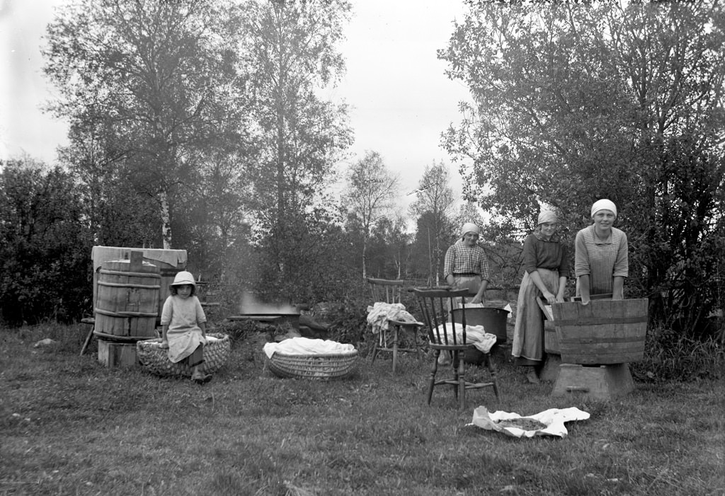 Laundry in Klockare farm pasture in Frinnaryds village.