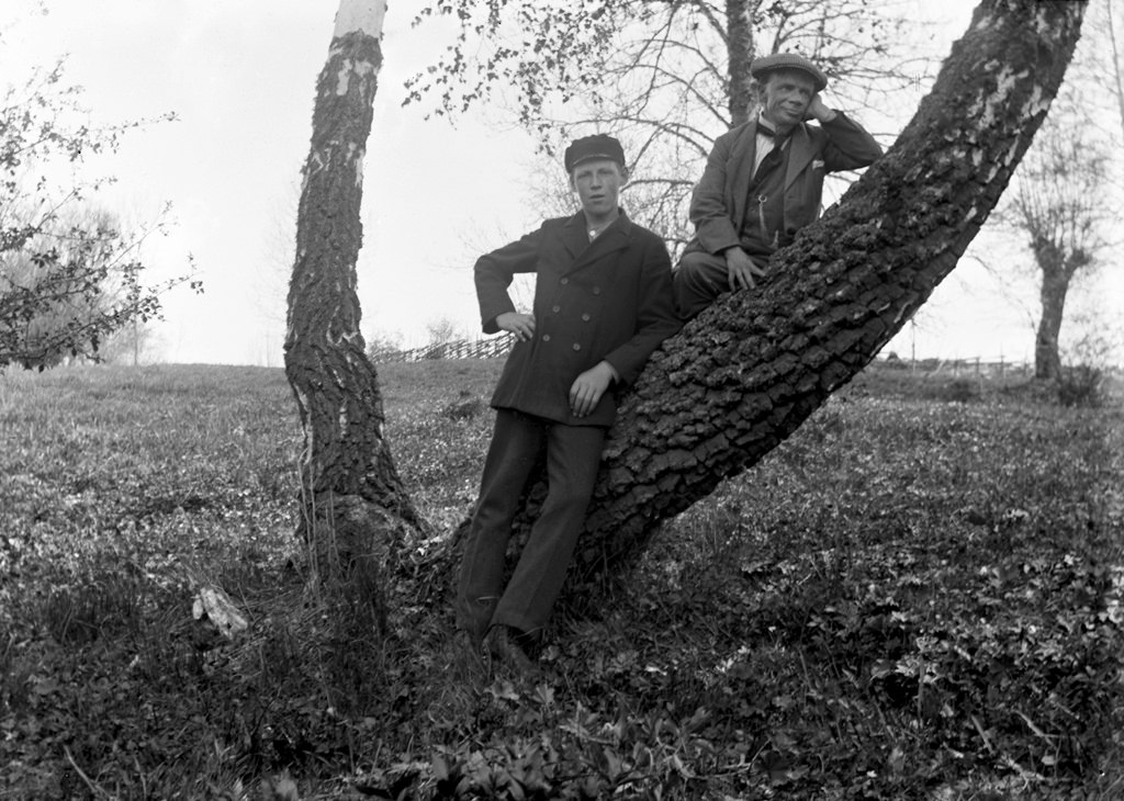 Two men on the tree.