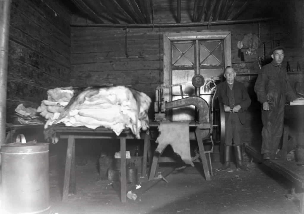 Skinnberedning at Frinnaryds tannery. In this photo from Frinnaryd tannery (started 1890), here are tanners KA Lundberg (1853 - 1935) and his son Eric (b. 1886).