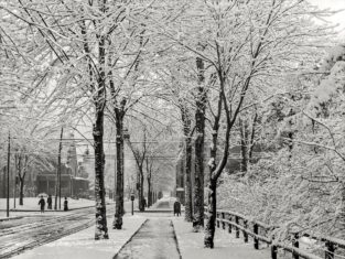 Stunning Old Historical Pictures Of Detroit From the 1900s