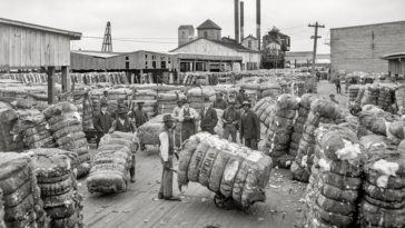 Norfolk Virginia historic photos