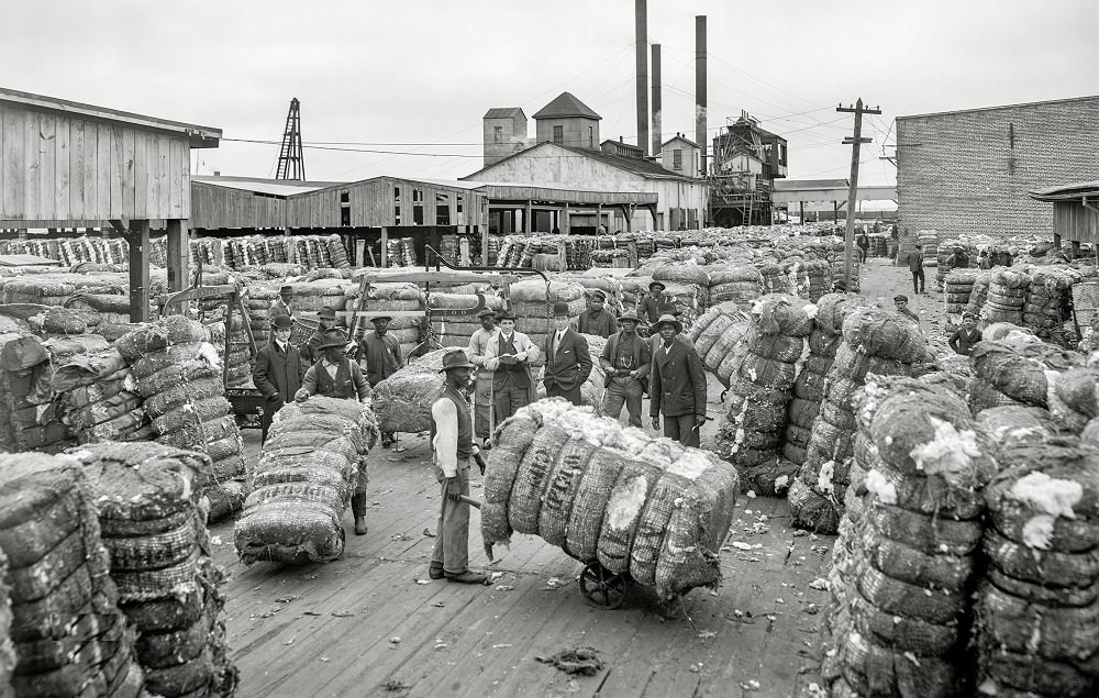 Historic interest. США 1860 хлопковая промышленность. Производство в США В 1905 году вертикальное фото. Slavery in America.