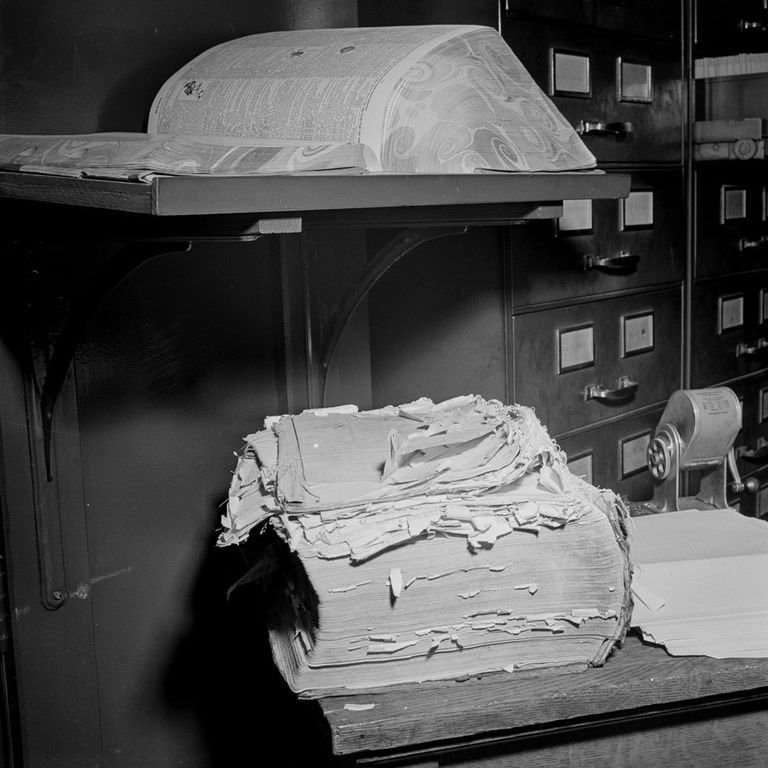 Old and new dictionaries in the "morgue."