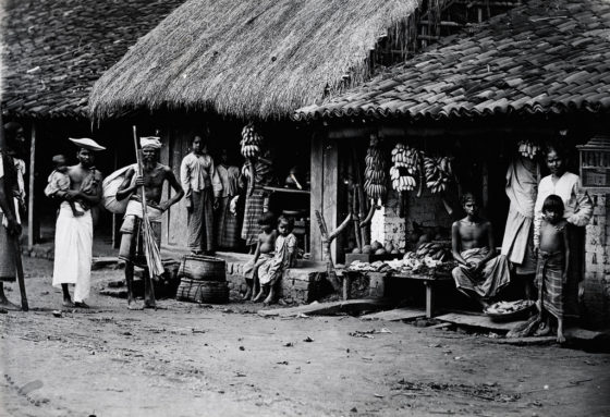 Sri Lanka In The 1880s: Rare Historical Photos Capture Life In Ceylon 