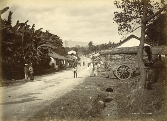 Sri Lanka In The 1880s: Rare Historical Photos Capture Life In Ceylon ...