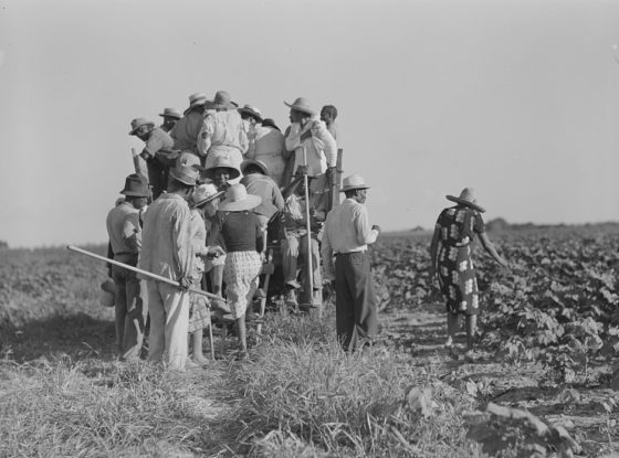 Vintage Photos Show Life in Mississippi Delta Plantations During the ...