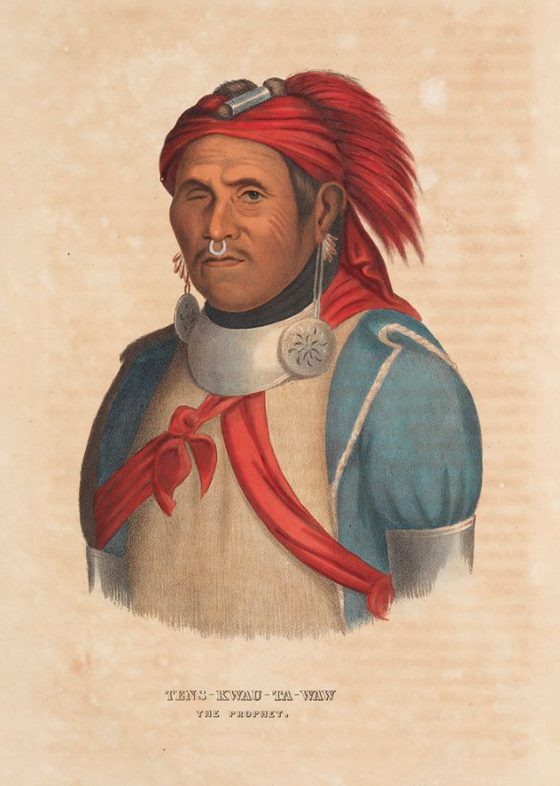 Historic Portraits of Chiefs of Native Indian Tribes of North America ...