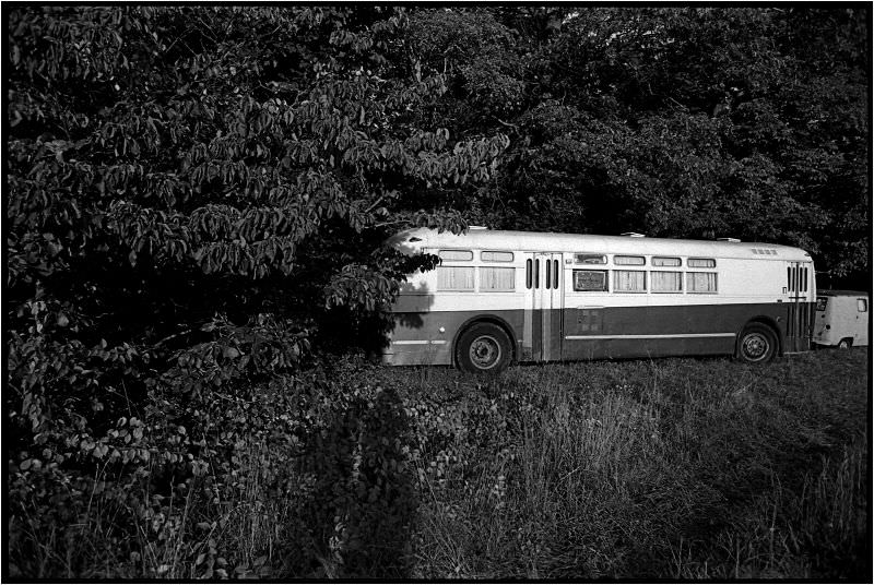 Bus in the woods