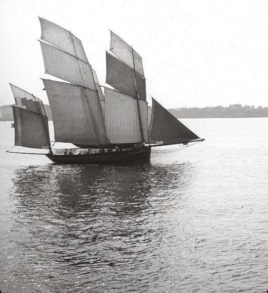 France In The Early 20th Century Fascinating Historical Photos   France Early 20th Century 11 531x581 