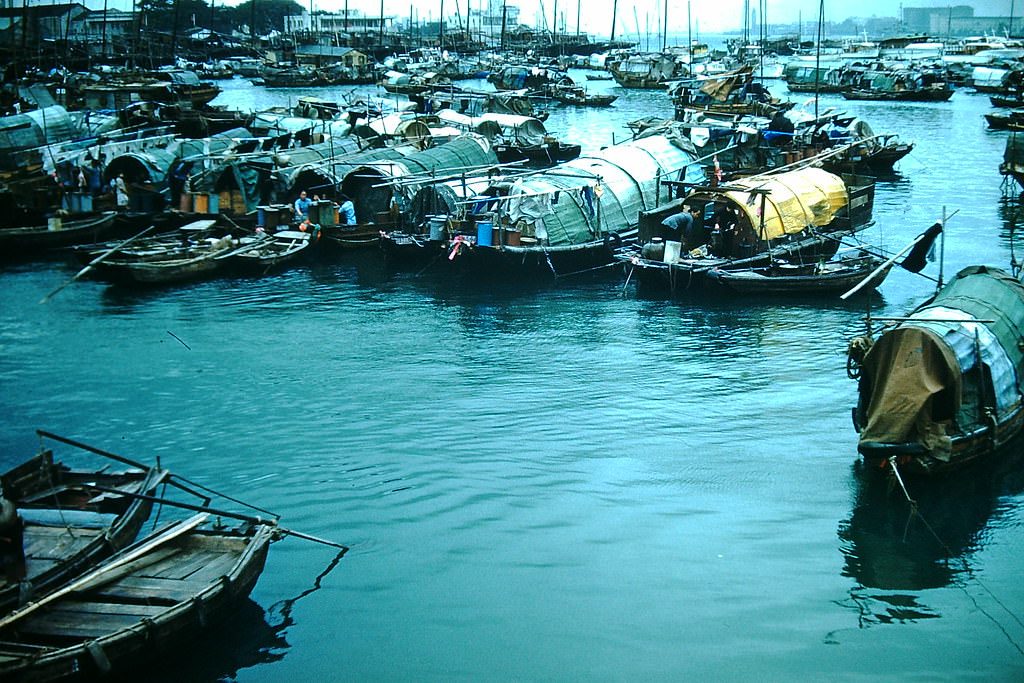 Refuge for Junks, Causeway Bay, Hong Kong, 1952