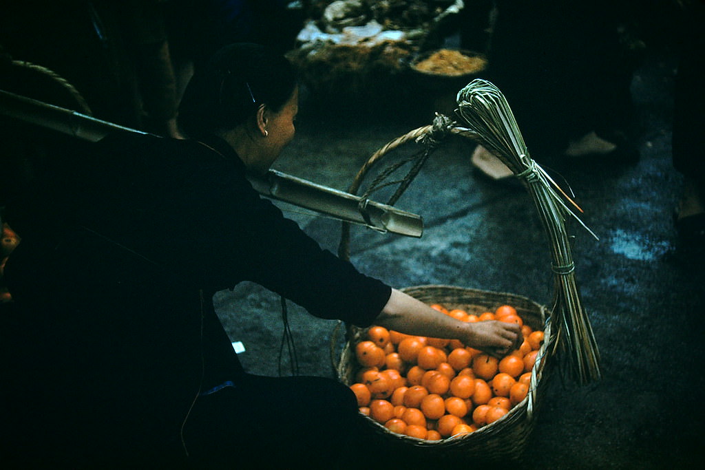 Tomato Vendor at Lockhart Road, Hong Kong, 1952