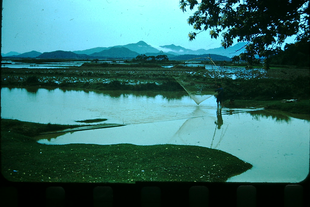 Netting Shrimp, Hong Kong, 1952