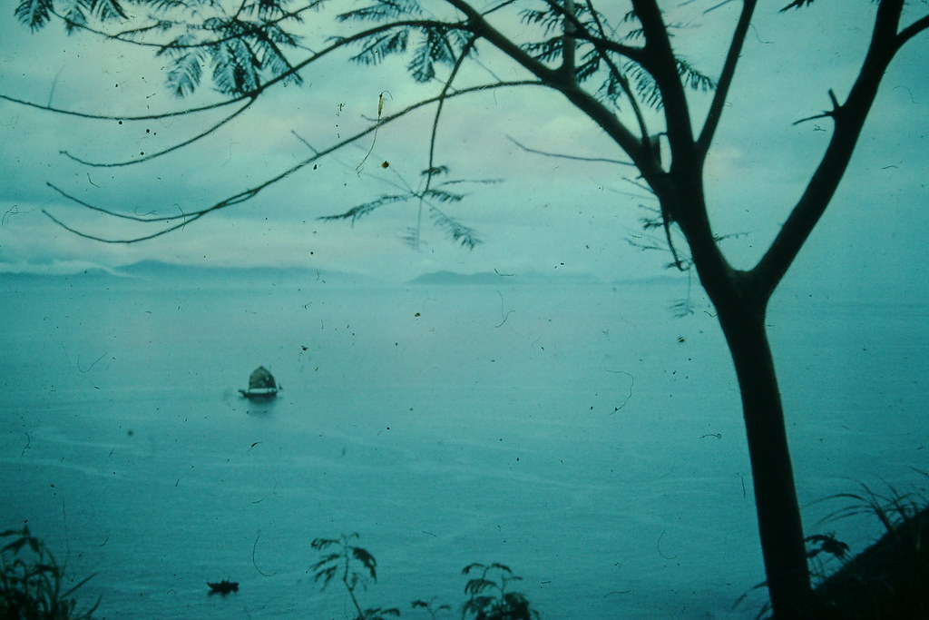 Oriental Evening, Hong Kong, 1952