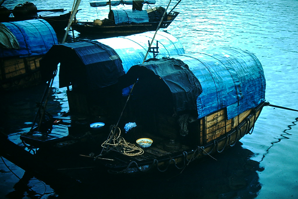 Aberdeen Bay, Hong Kong, 1952