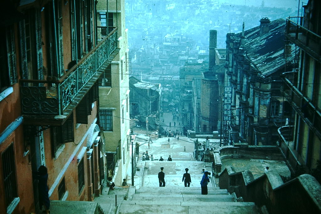 Vista, Hong Kong, 1952