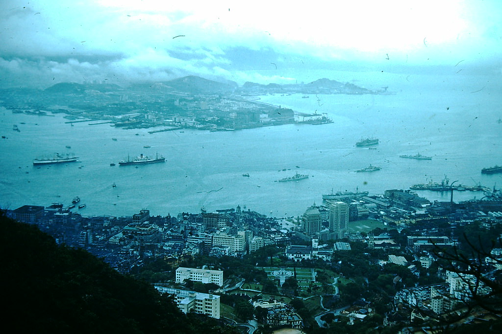 Harbour from the Peak, Hong Kong, 1952