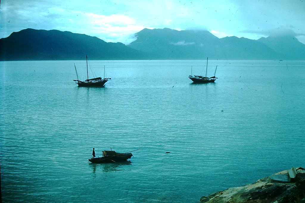 Junks at Castle Peak near Kowloon, Hong Kong, 1952