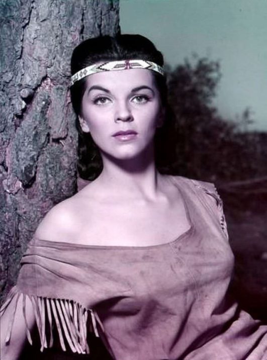 lisa gaye biography