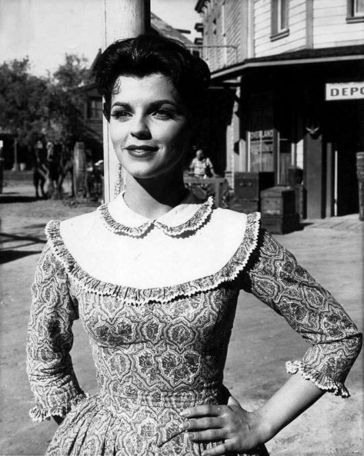 lisa gaye biography