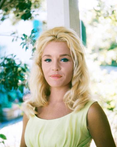 ACTRESS TUESDAY WELD - 8X10 PUBLICITY PHOTO (AB-753) 