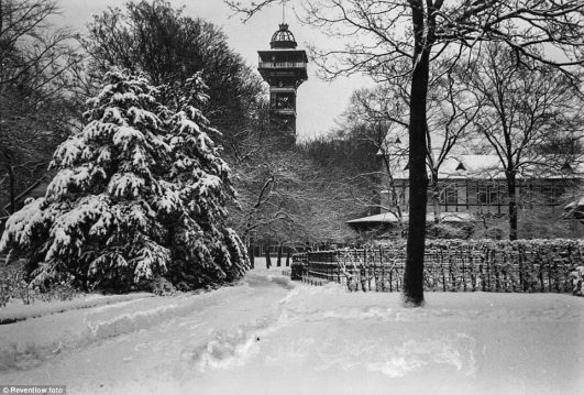 Rare Historical Photos of Copenhagen Zoo from the Late-19th Century ...