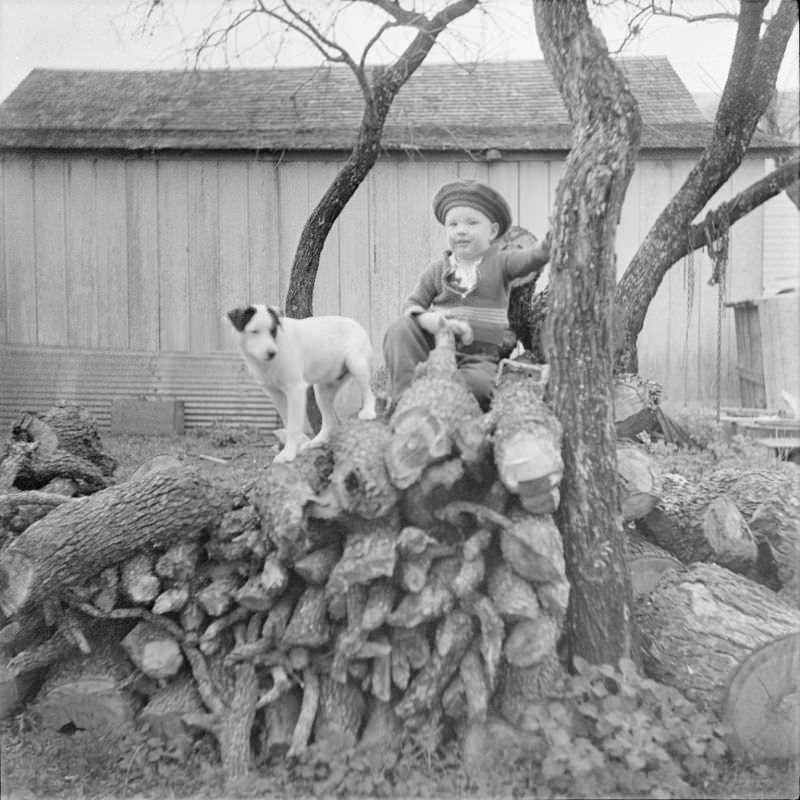 Little boy sitting on a pile of cut wood with a dog next to him