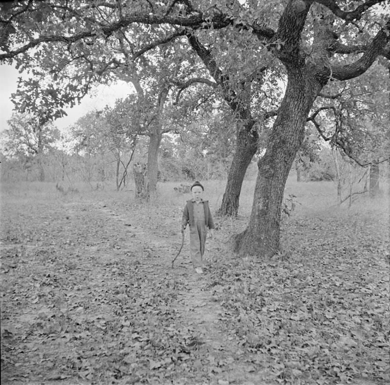 Boy holding a stick, walking through a forest