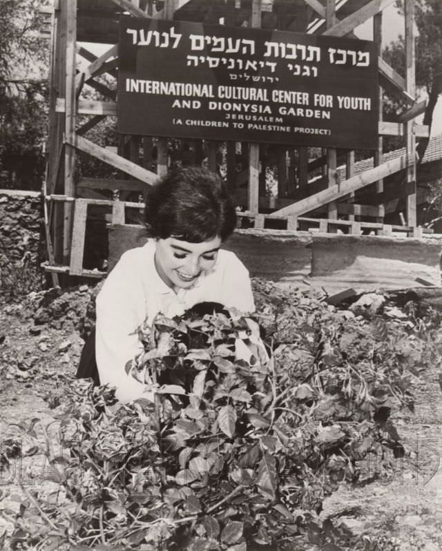 Millie Perkins as Anne Frank during the Filming of ‘The Diary of Anne Frank (1959)’