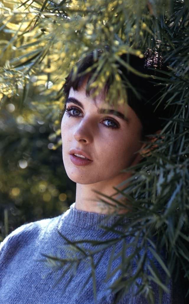 Millie Perkins as Anne Frank during the Filming of ‘The Diary of Anne Frank (1959)’