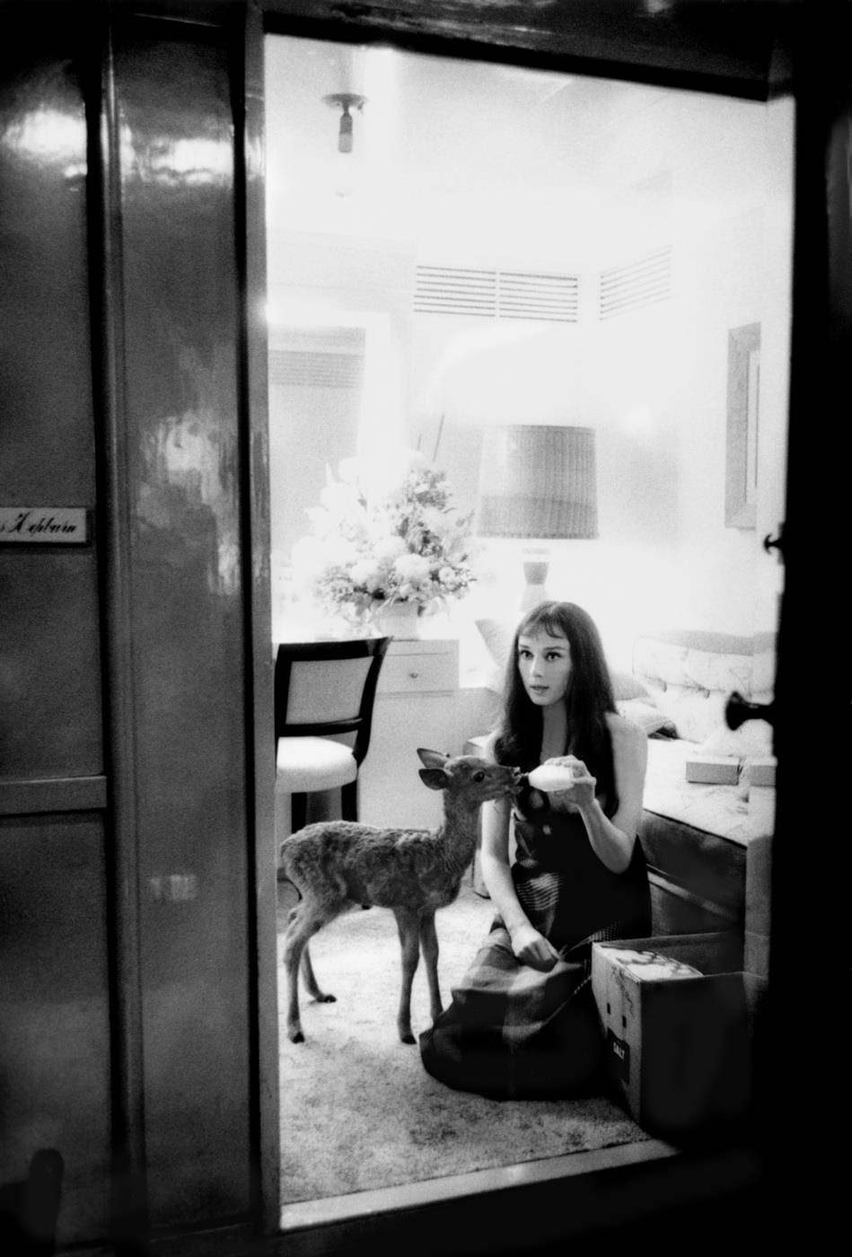 Audrey Hepburn feeds her pet deer Ip its morning bottle during a break from filming on MGM's "Green Mansions," 1958