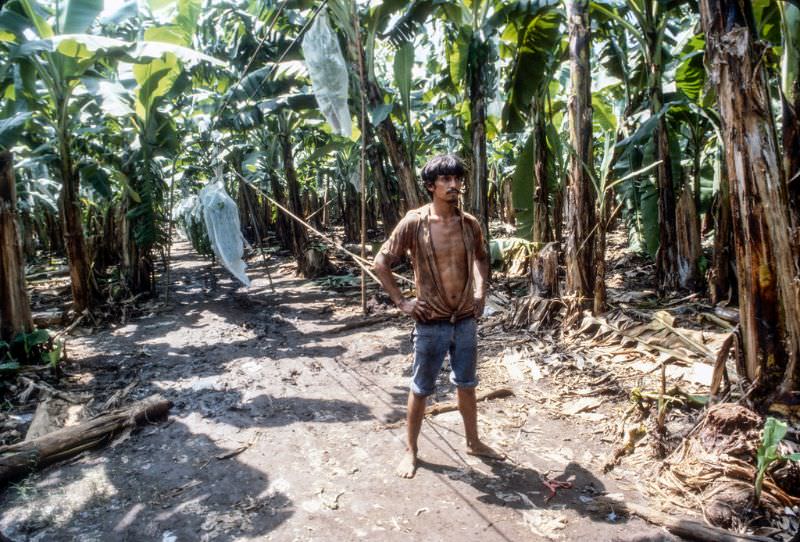 Dole banana plantation, Chinandega, Nicaragua, 1979