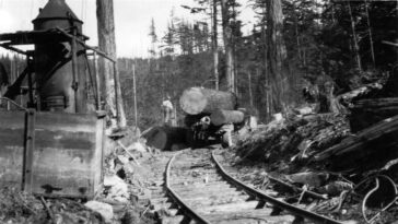 Fascinating Historical Photos of Bellingham from the 1900s