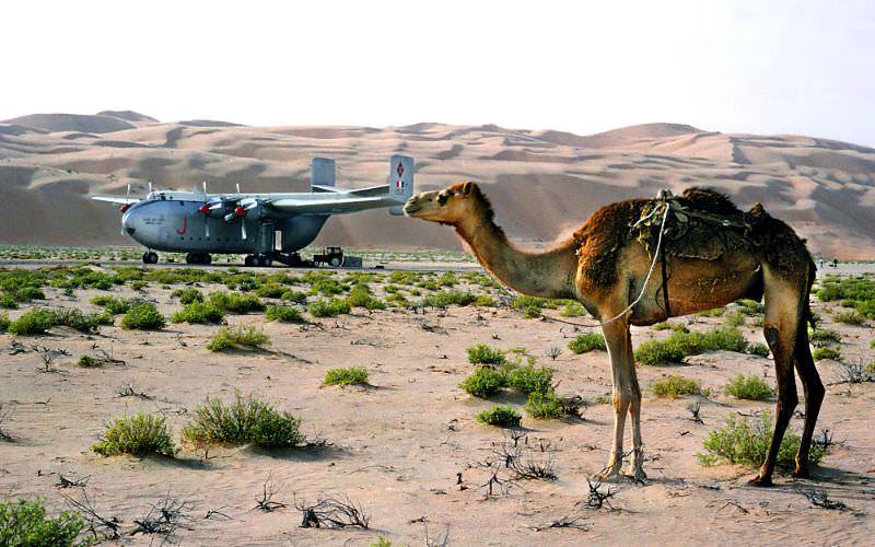 30 Squadron Blackburn Beverley landed at an oasis somewhere in the Ar Rub al Khali, 1966