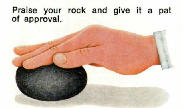 Pet Rock End of Year Gift