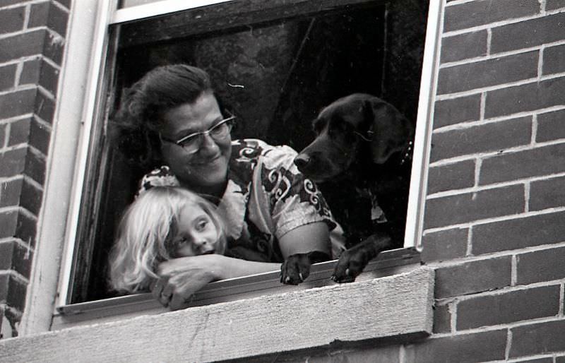 Woman, child, and dog watching North End Christmas Parade from a window