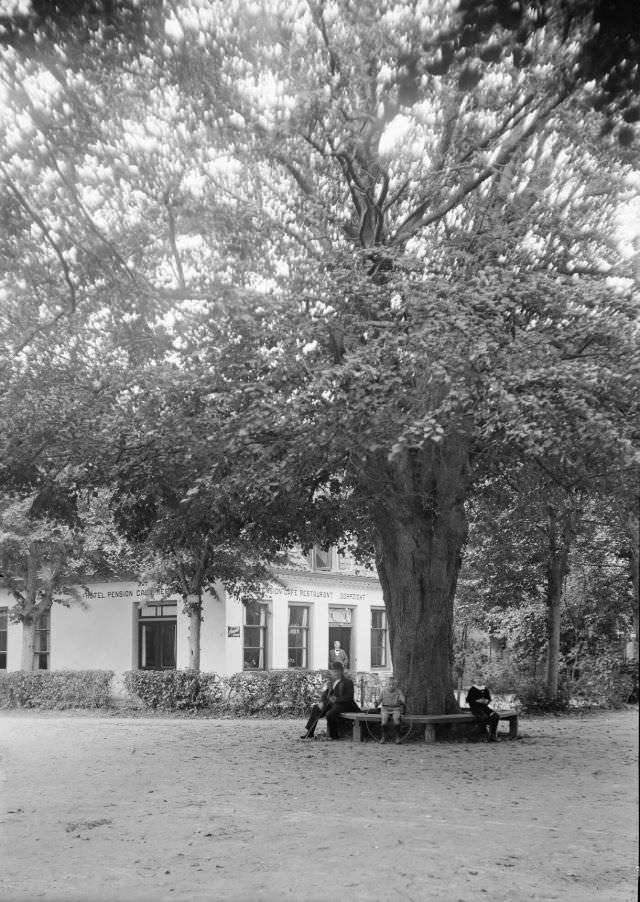 The "big tree" or "old lime tree" with Hotel Dorpszicht, Hoflaan, circa 1914