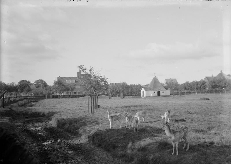 The Deer Camp in a westerly direction, with "Hotel Deer Camp" in the offing, 1914