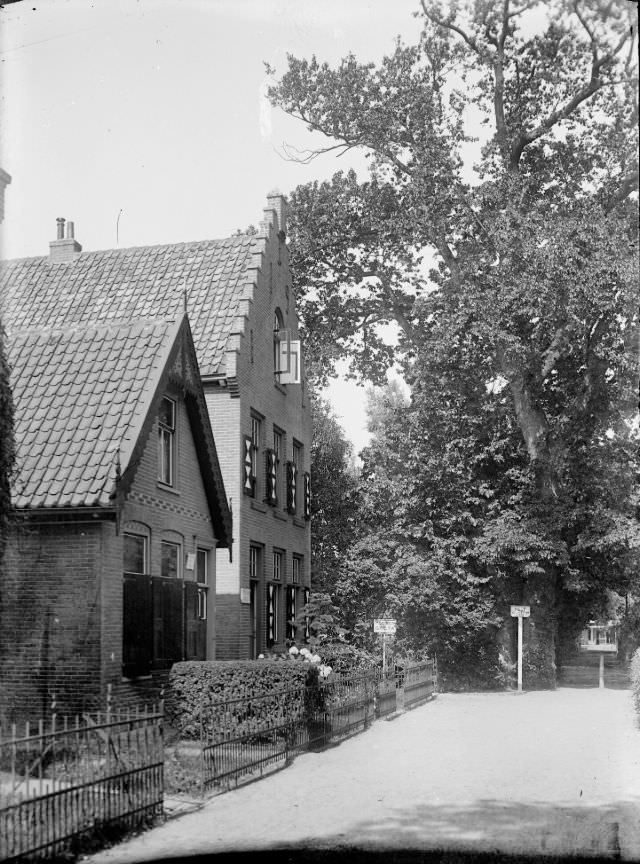 The narrow path with guest house "Greta" and the "Adam and Eve tree", circa 1914