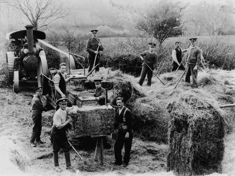 Rare Historical Photos of Rural Life Around the Cilgerran District of Dyfed, West Wales in the early 1900s