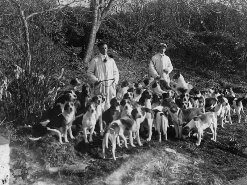 Rare Historical Photos of Rural Life Around the Cilgerran District of Dyfed, West Wales in the early 1900s