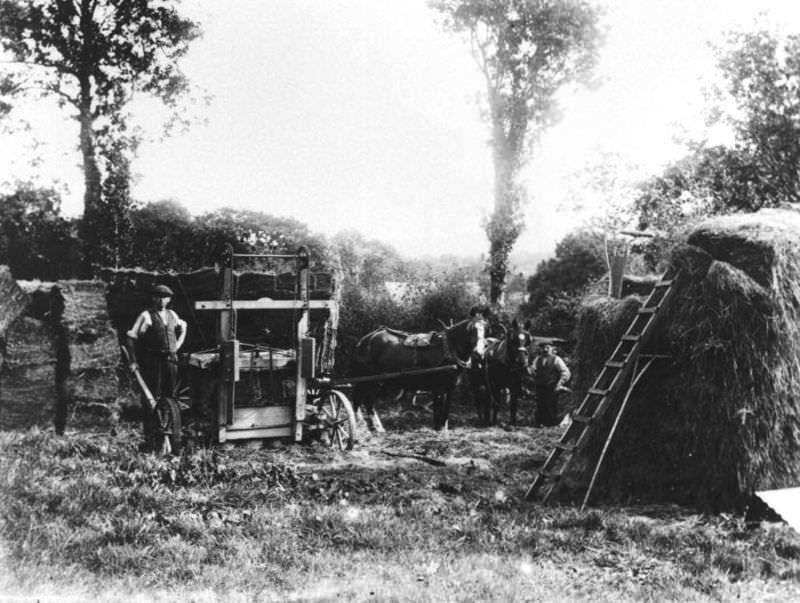 Rare Historical Photos of Rural Life Around the Cilgerran District of Dyfed, West Wales in the early 1900s