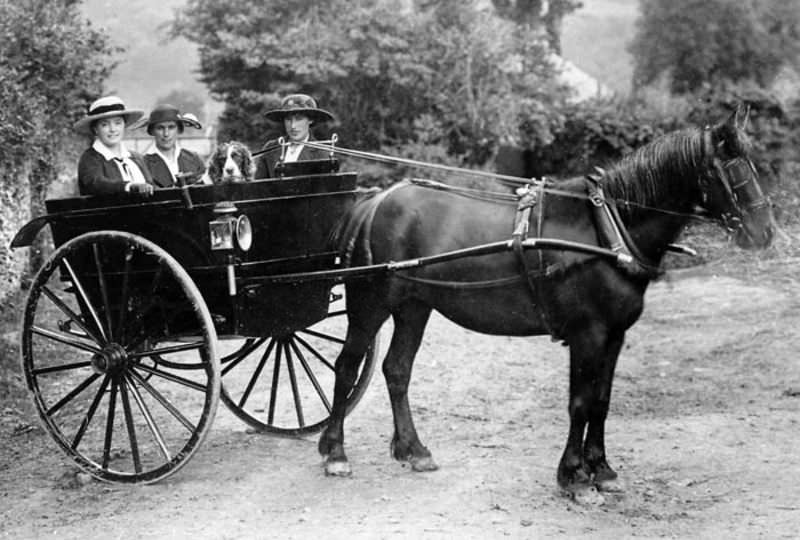 Rare Historical Photos of Rural Life Around the Cilgerran District of Dyfed, West Wales in the early 1900s