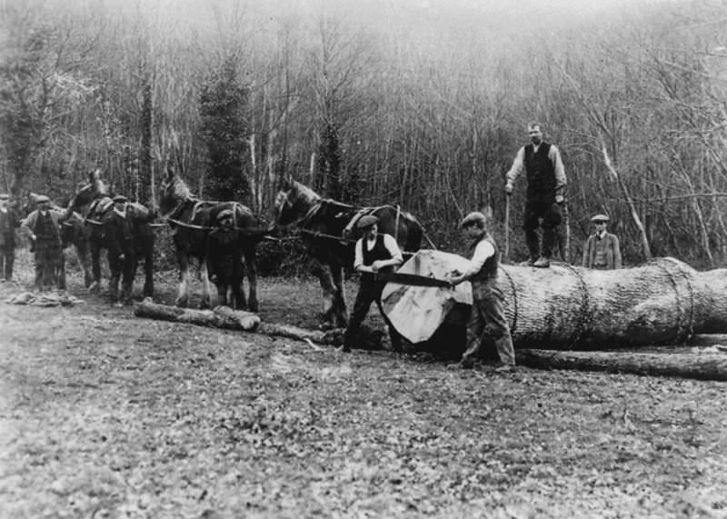 Rare Historical Photos of Rural Life Around the Cilgerran District of Dyfed, West Wales in the early 1900s