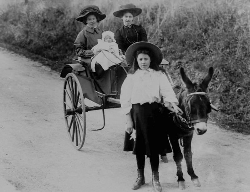 Rare Historical Photos of Rural Life Around the Cilgerran District of Dyfed, West Wales in the early 1900s