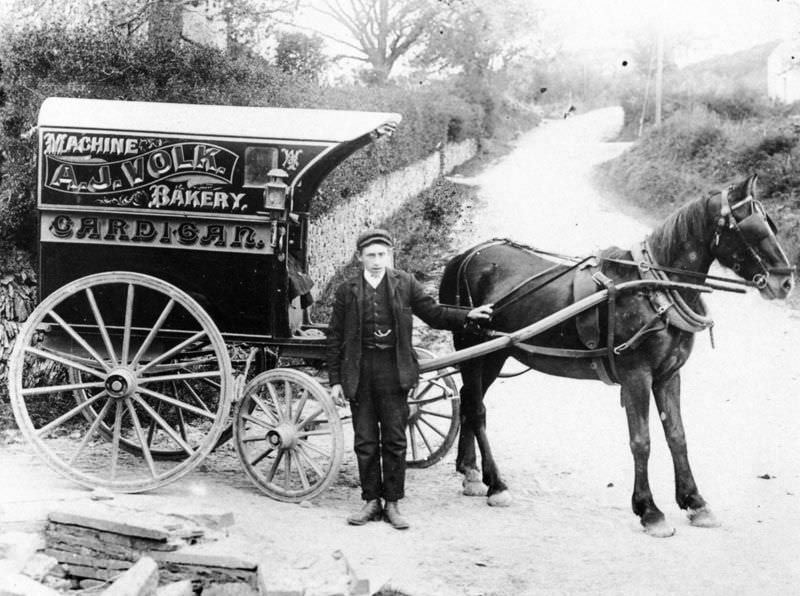 Rare Historical Photos of Rural Life Around the Cilgerran District of Dyfed, West Wales in the early 1900s