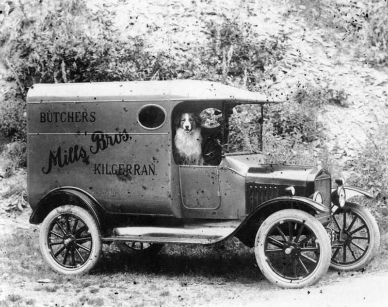 Rare Historical Photos of Rural Life Around the Cilgerran District of Dyfed, West Wales in the early 1900s