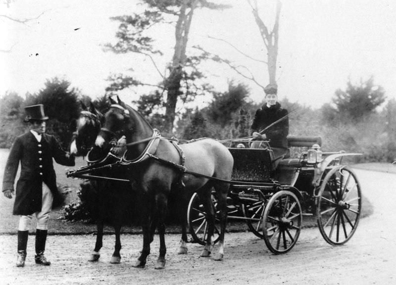 Rare Historical Photos of Rural Life Around the Cilgerran District of Dyfed, West Wales in the early 1900s